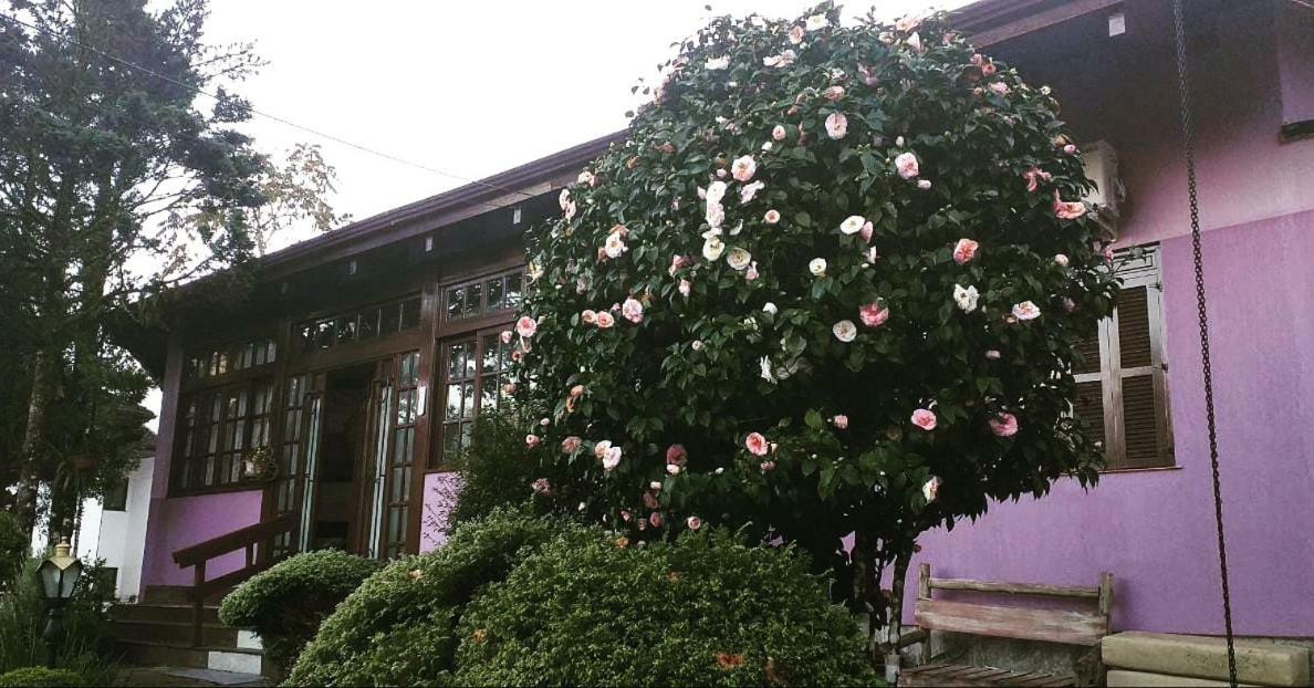 Inn Gardenia